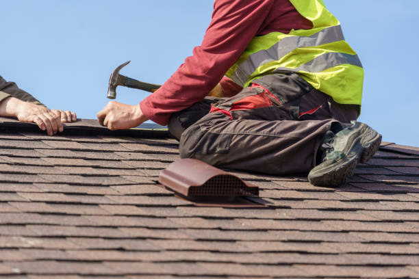 Roof Gutter Cleaning in North Braddock, PA