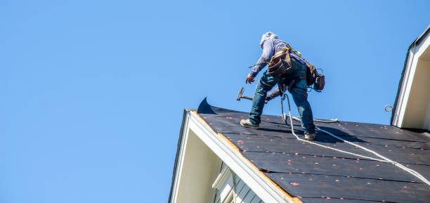 Best Roof Maintenance Services  in North Braddock, PA